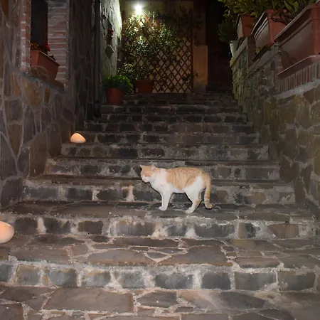La Vecchia Taverna B&B-3