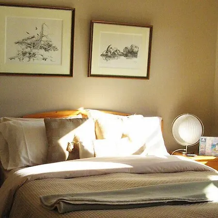 Reef Point Oceanfront Bed And Breakfast-2
