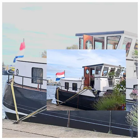 B&B Teddy Prachtig authentiek woonschip uit 1912, 15 minuten van Amsterdam-3