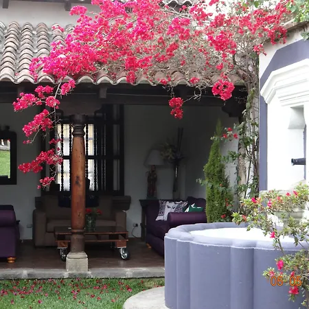 Casa Naranjo-2