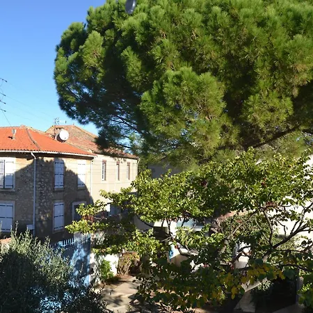 Le colibri bleu-2