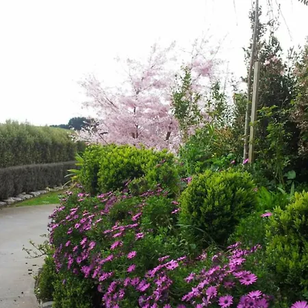 Waitomo Orchard Estate B&B-2