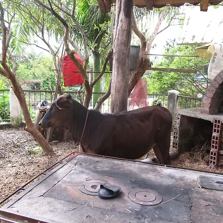 Finca Campestre La Adelita B&B-3