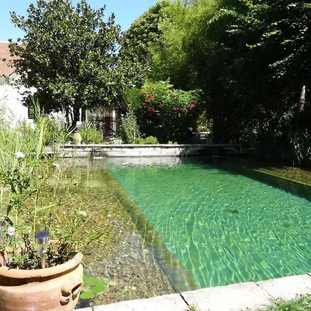 Jardin De Canaan-2
