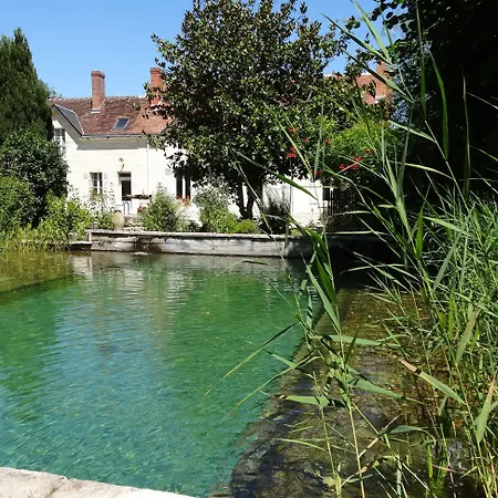 Jardin De Canaan-3