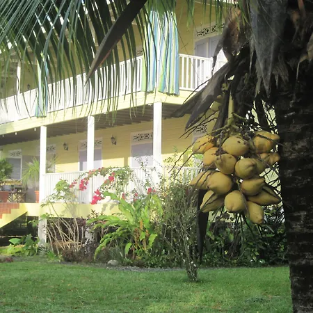 Sand Dollar Beach Bed & Breakfast-2