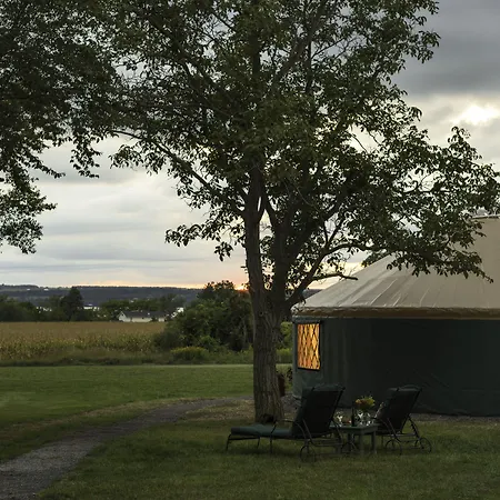 Yale Manor B&B & Yurt Glamping-2