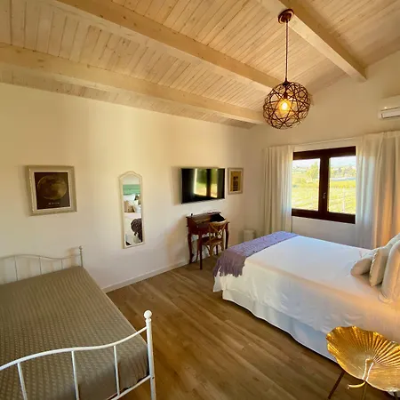 Bed & Breakfast Wine & Cooking Penedes-2