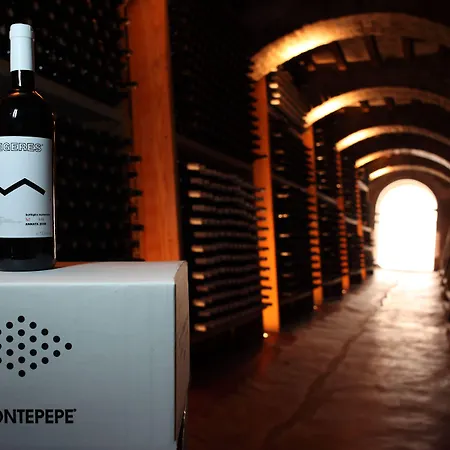 Relais Montepepe Winery & Spa-3