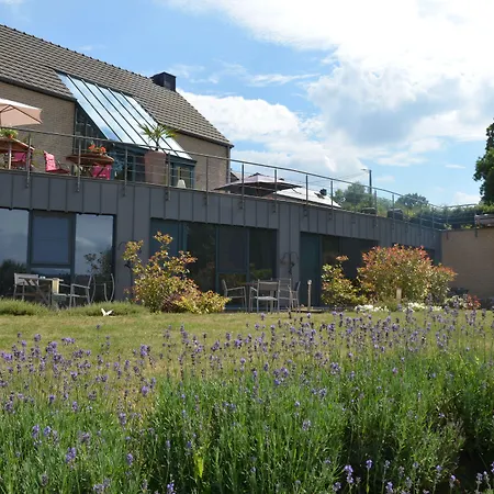 B&B Le Bouchat-Oreille-2