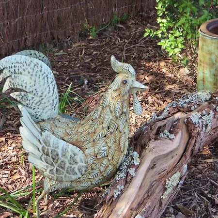 Honeyeater Cottage-3