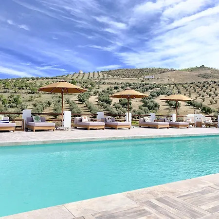 Lemon Tree Retreat At El Amparo-3