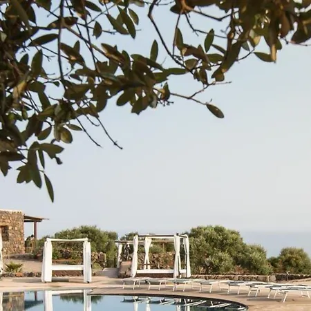 Dammusi Al-Qubba Wellness & Resort-2