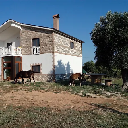 Gio Horses B&B-3