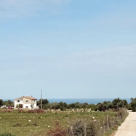 Gio Horses B&B-2