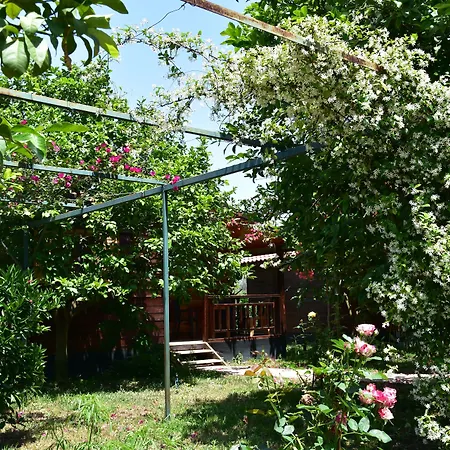 Lemon Garden Lodge-2