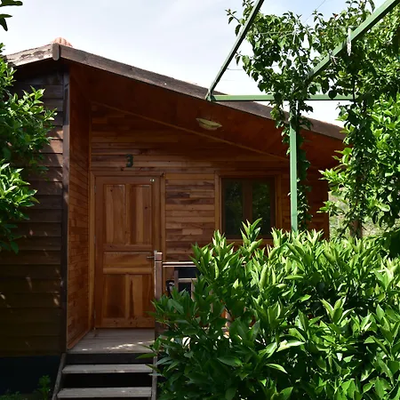 Lemon Garden Lodge-3