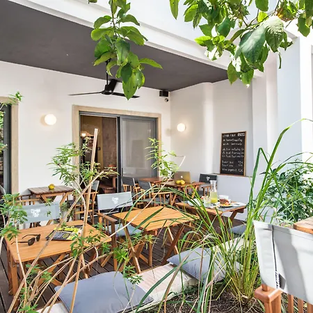 Lemon Tree Stay-3
