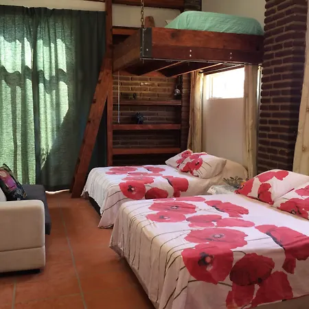 B&B Oui Madame-2