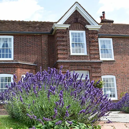 B&B Downham Hall-2