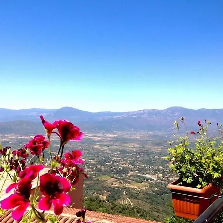 B&B Selvaggio Blu-2