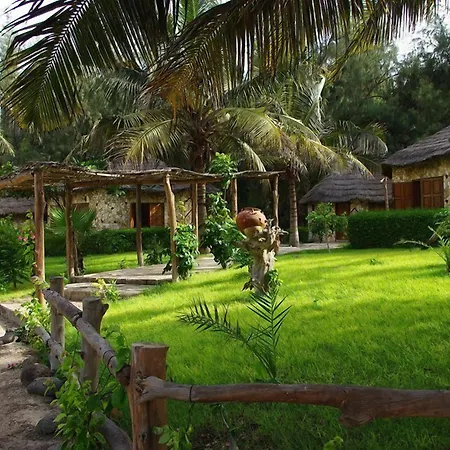 Africa Roots-2