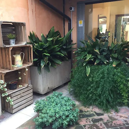 Il Giardino Segreto-2