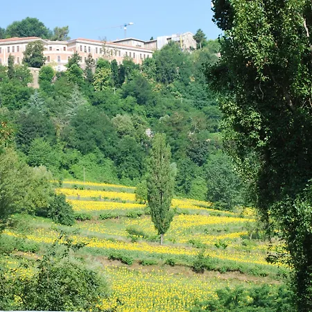 B&B Villa Paradiso-3