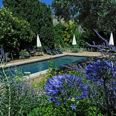 Le Jardin de Mazan-3