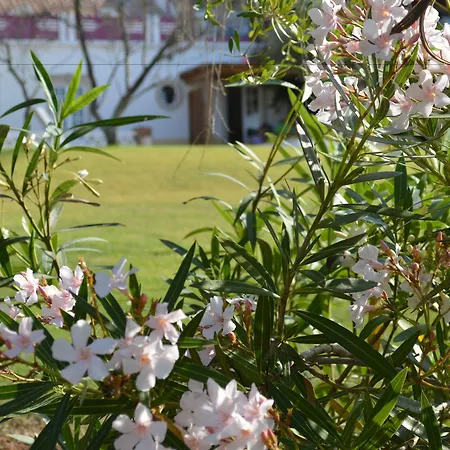 Quinta Da Mesquita-2