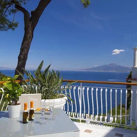 Sorrento Dream-3
