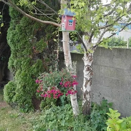 The Vee B&B-3