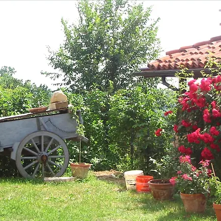 Bricco Dei Ciliegi-3