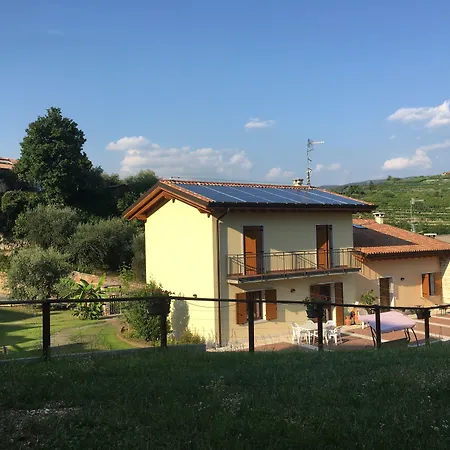 B&B La Bella Vigna-3
