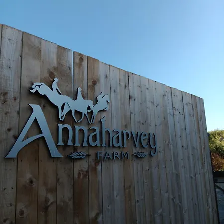 Annaharvey Farm B&B-3