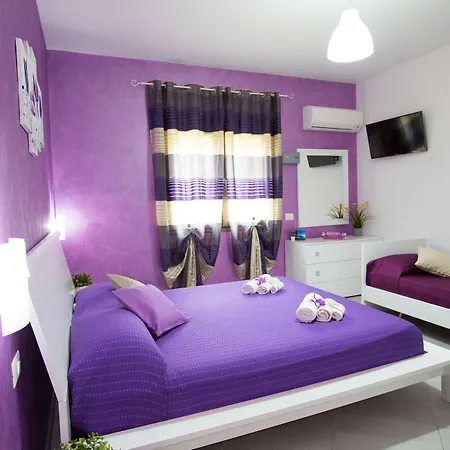 B&B Pepito-3