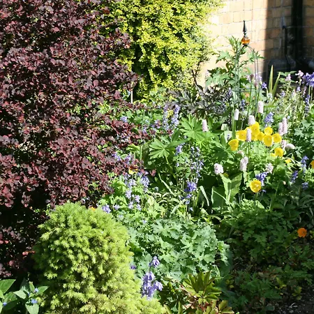 Penralley House B&B-2