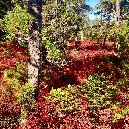 Acadia Bay Inn-3