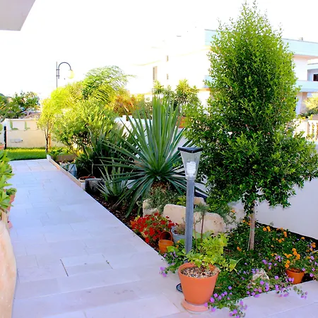 B&B Barone-3