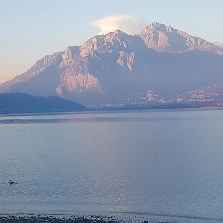 Ai Due Vecchi Ulivi-2
