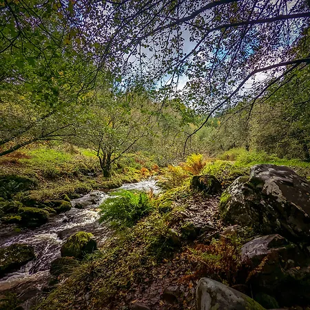 Mill Lodge-Brecon Beacons-2