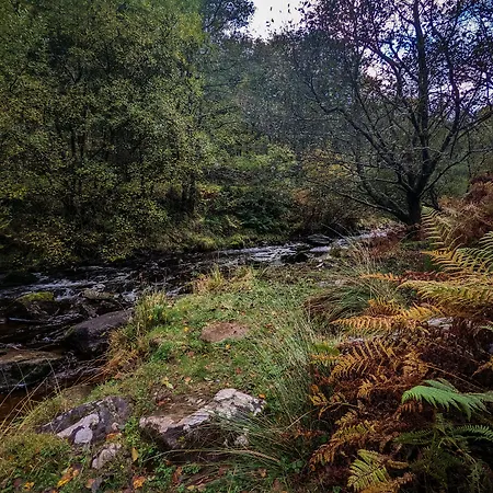 Mill Lodge-Brecon Beacons-3