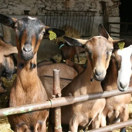 Ferme de la Vallière-2
