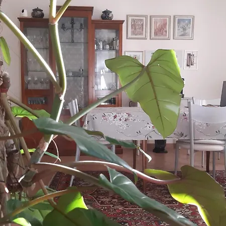 Fabiola B&B-2
