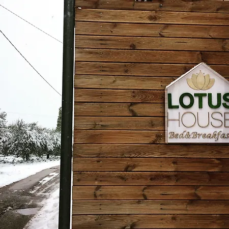 Lotus House-3