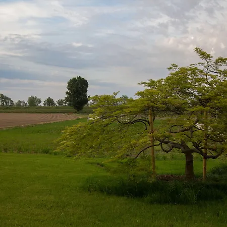 Country House Campofiore-2