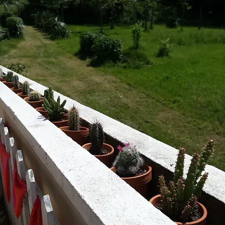 13 Bees-3