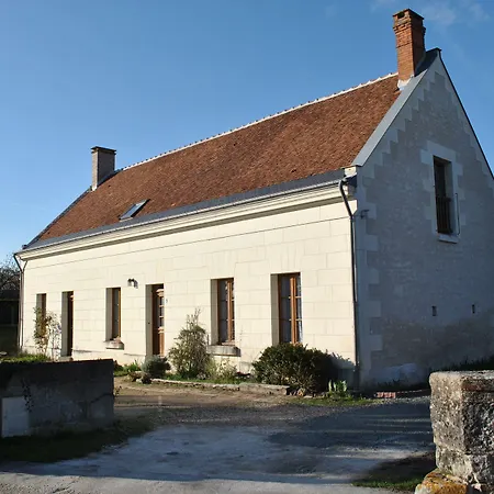 Le Tulipier De Virginie-3