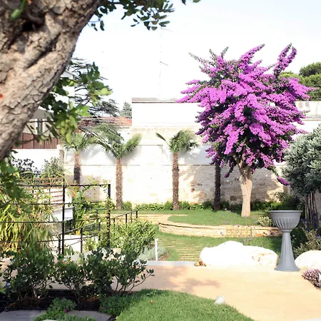 Villa Pina-2