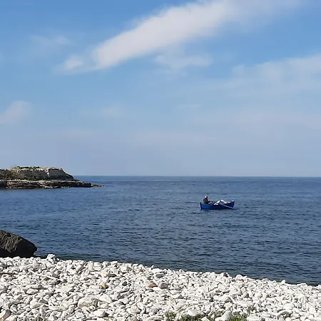 Agorà Bisceglie-2